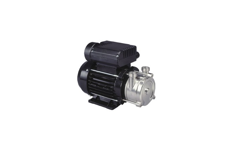 Pompe pour liquides alimentaires ALM25 MS - Récupel incluse