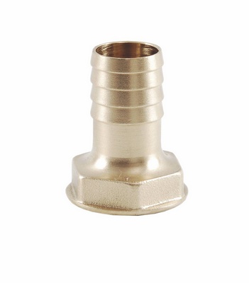 Embout Laiton Filet femelle 2" F X 50