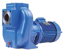 Pompe centrifuge auto-amorçante FREF32-150_G1.MQ0-A6 - Récupel incluse