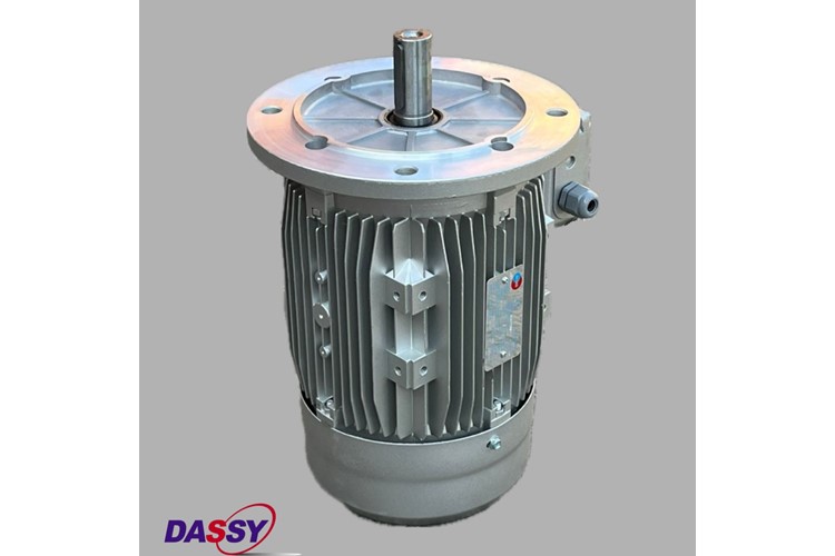 Moteur  MH3- 100 L2  3KW   3000 min-1  230/400V  B5
