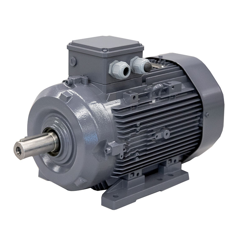 Moteur  SPL 80M2D  1,1KW   3000 min-1  230/400V  B3