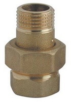 RACCORDS-UNION LAITON 2'' MF